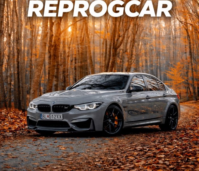 21AEDBB8-797C-4864-8A2D-FA5C18E8320E-1